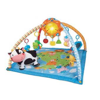 Little Friendlies 2-in-1 Baby Gym image